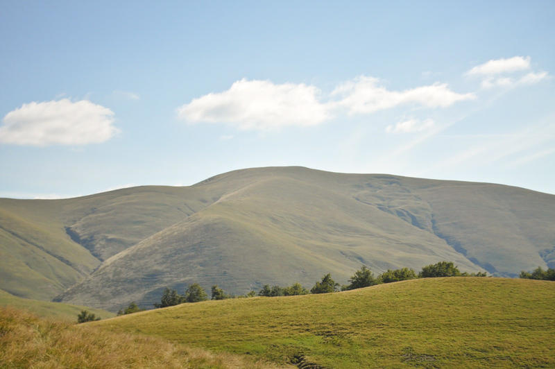 16159883yp.jpg