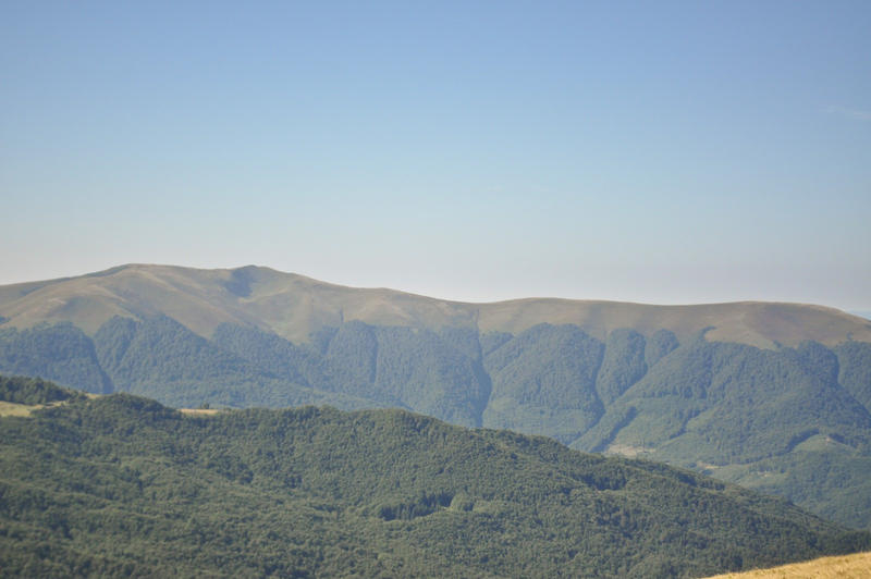 16159884vt.jpg
