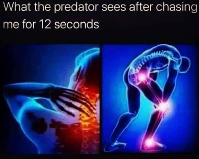 1616580404137.png