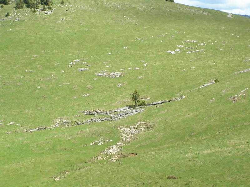 18357061nv.jpg