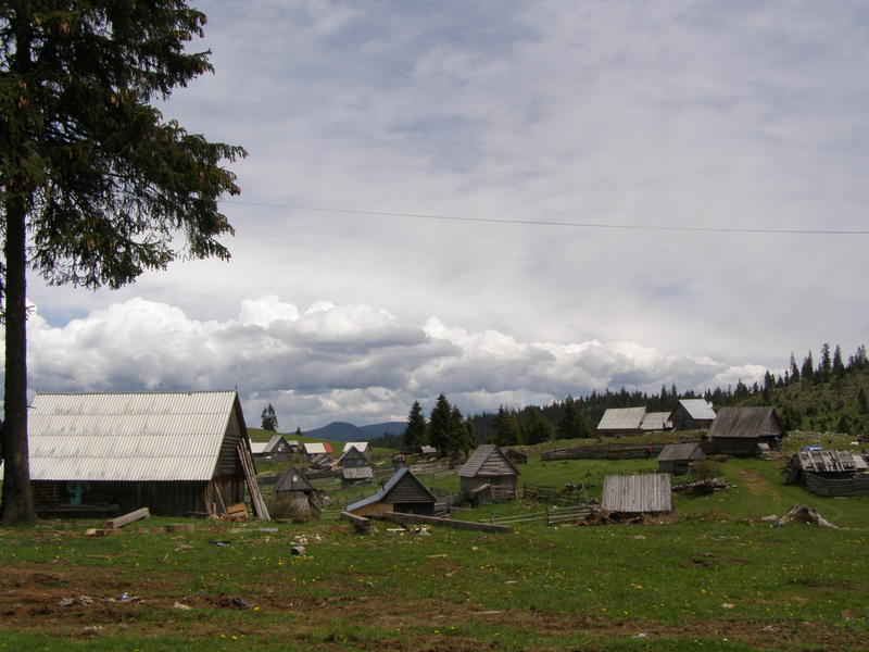 18357622mk.jpg