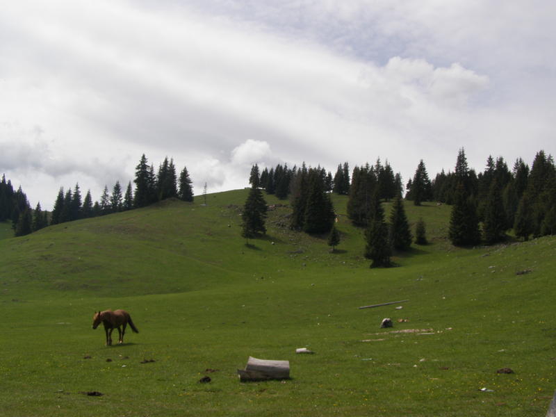 18357628hl.jpg