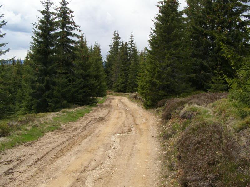 18357794xn.jpg