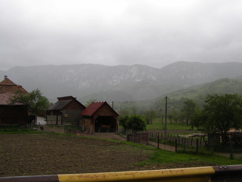 18470730uh.jpg