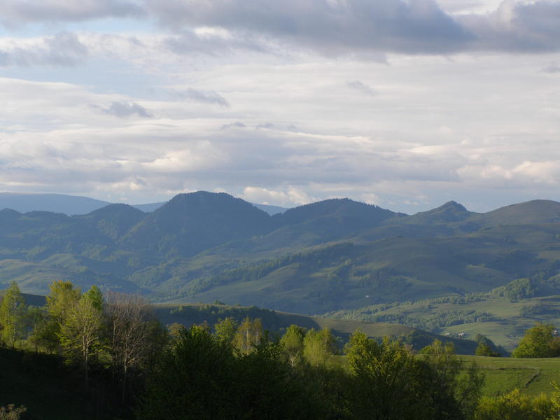 18517614ux.jpg