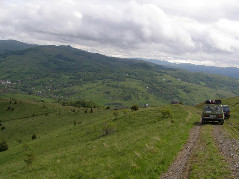 18517771qm.jpg