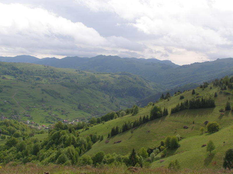 18517772ht.jpg