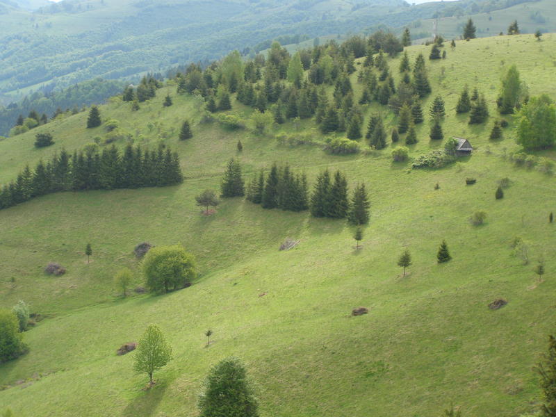 18517773kg.jpg
