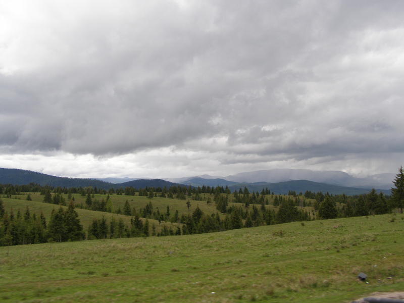 18518209co.jpg