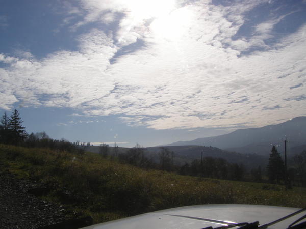 20076675cs.jpg