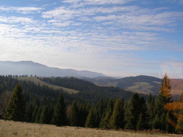 20076678ue.jpg