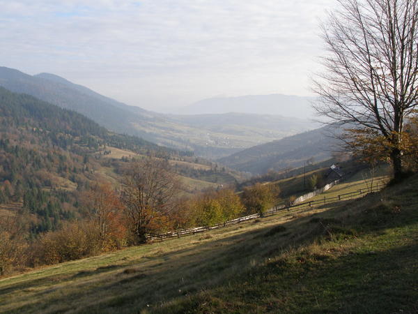 20076680no.jpg