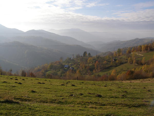 20076681ew.jpg