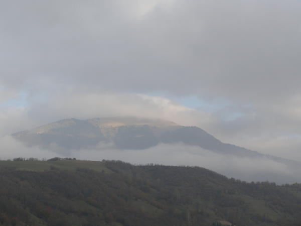 20076779pk.jpg