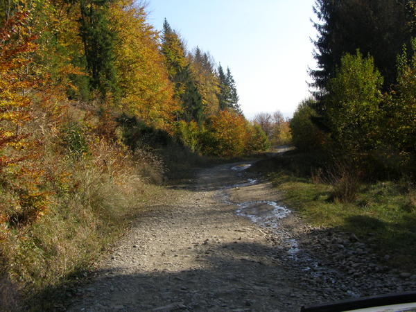 20076784co.jpg