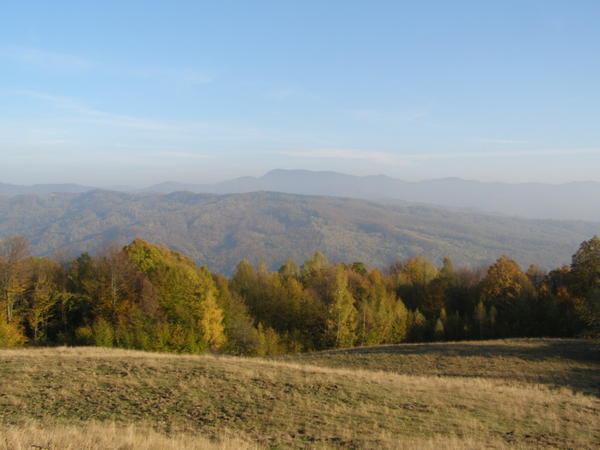 20076785wh.jpg