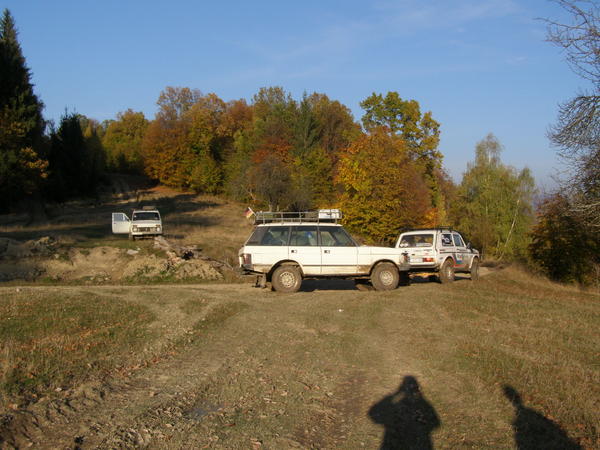 20076786iw.jpg