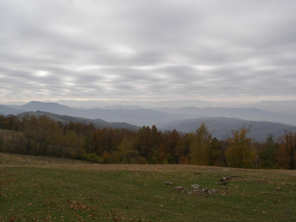 20077026rm.jpg