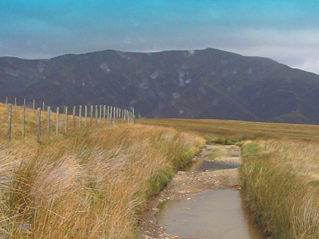 2011-10-04123418.jpg