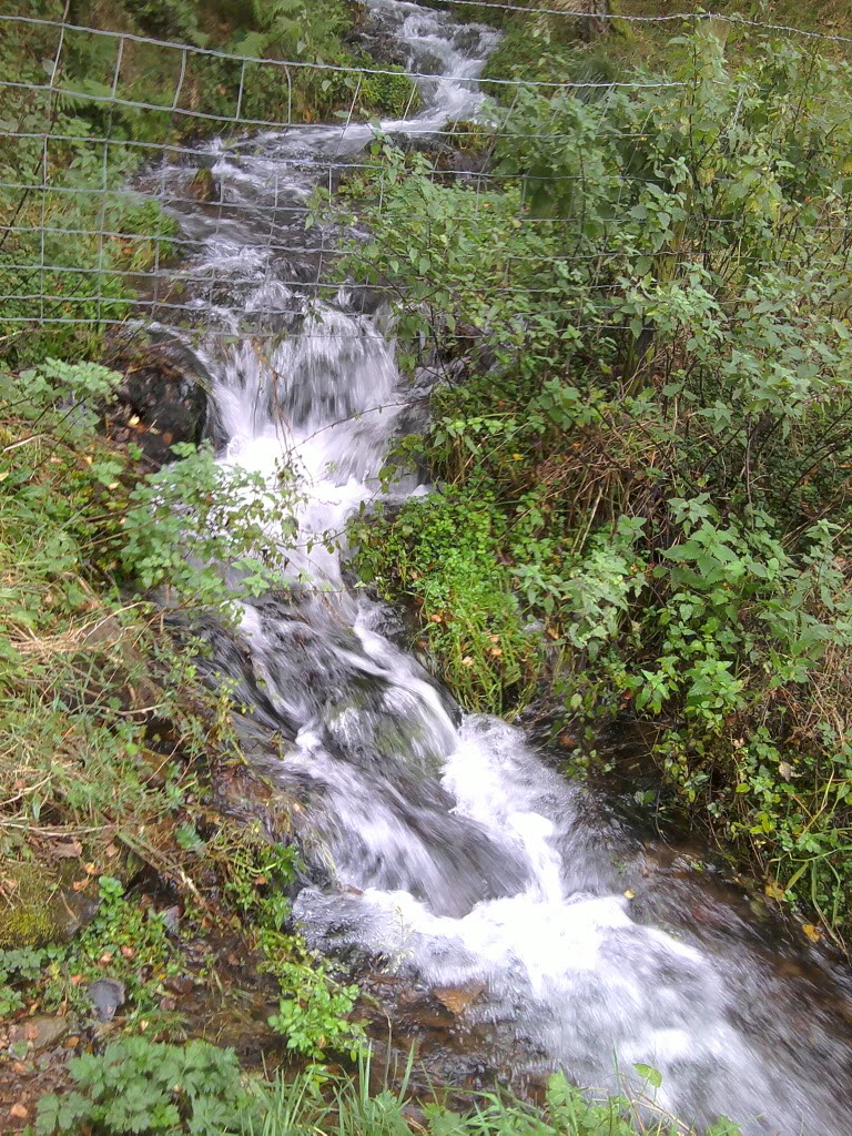 2011-10-04130820.jpg