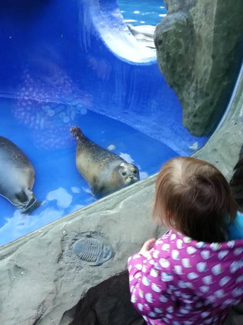20131125_1415090.jpg