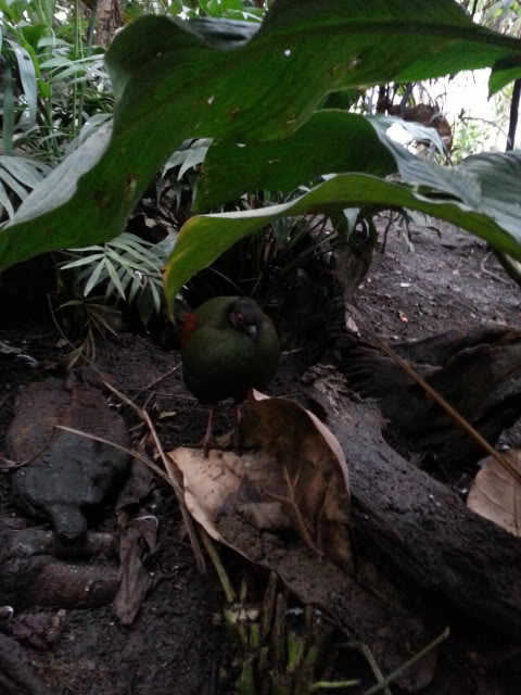 20140223_145948.jpg