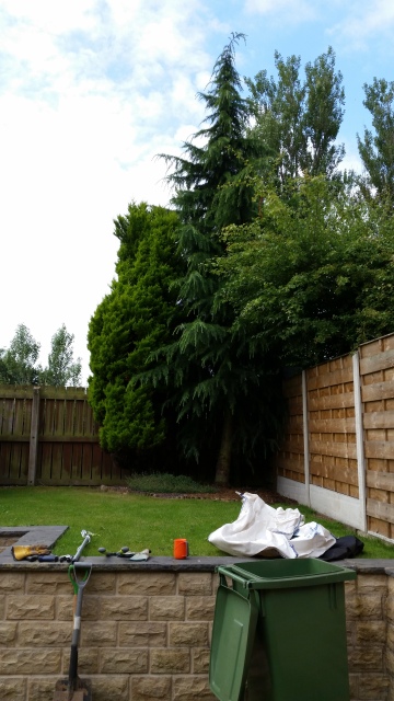 20140701_092733.jpg