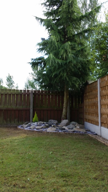 20140703_172257.jpg