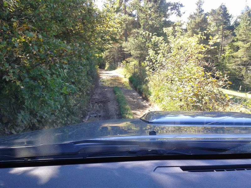 20141002_112011.jpg