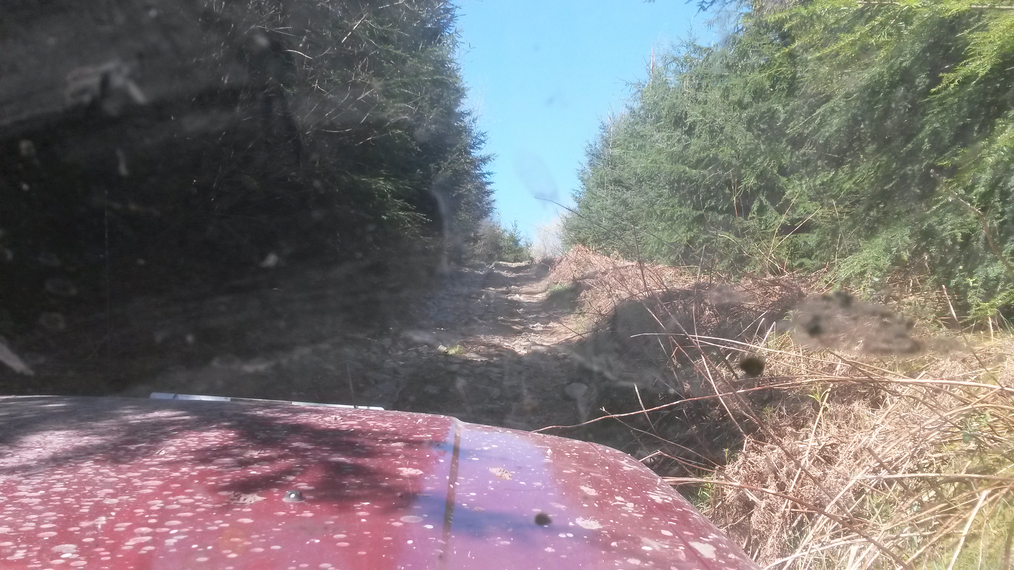 20150422_102255.jpg