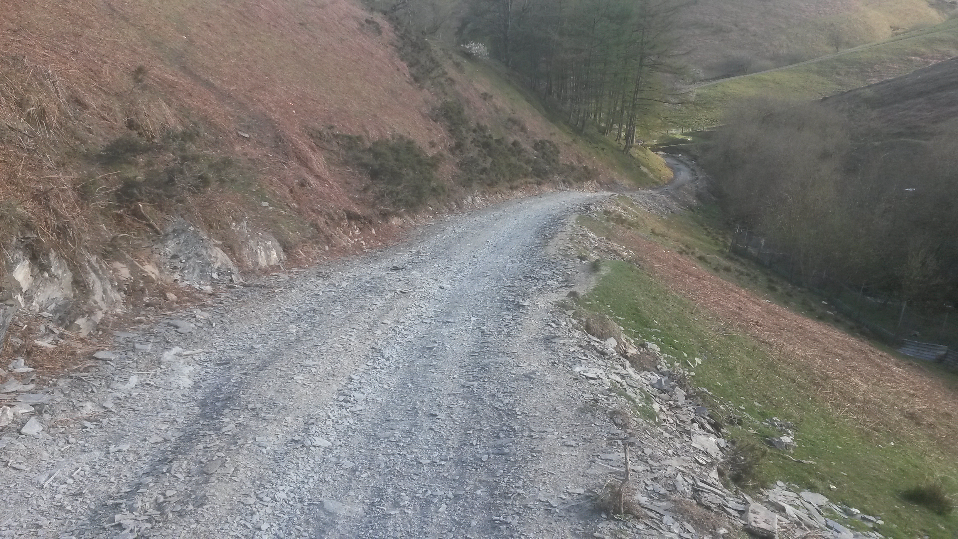 20150422_180108.jpg