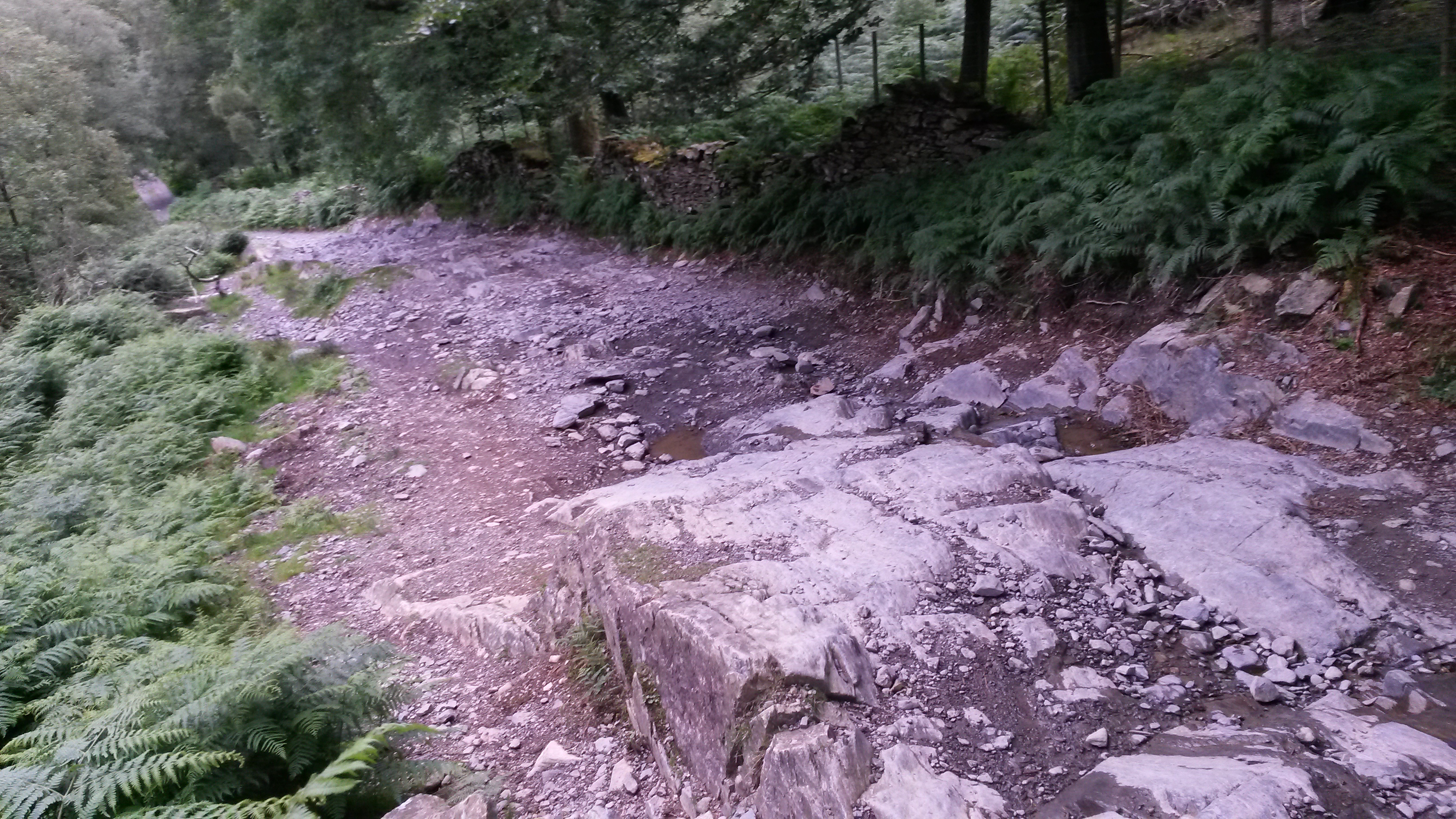 20150731_193158.jpg