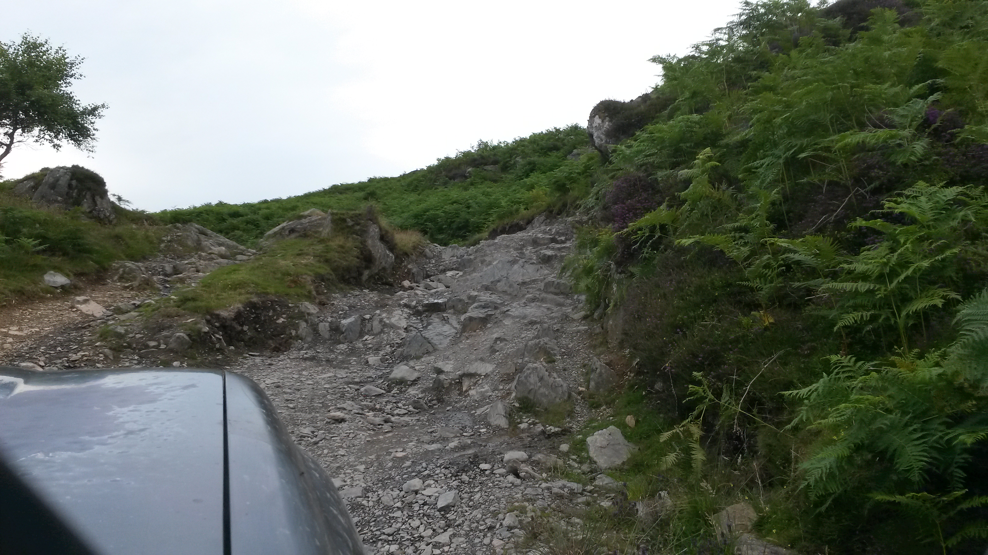 20150731_193702.jpg