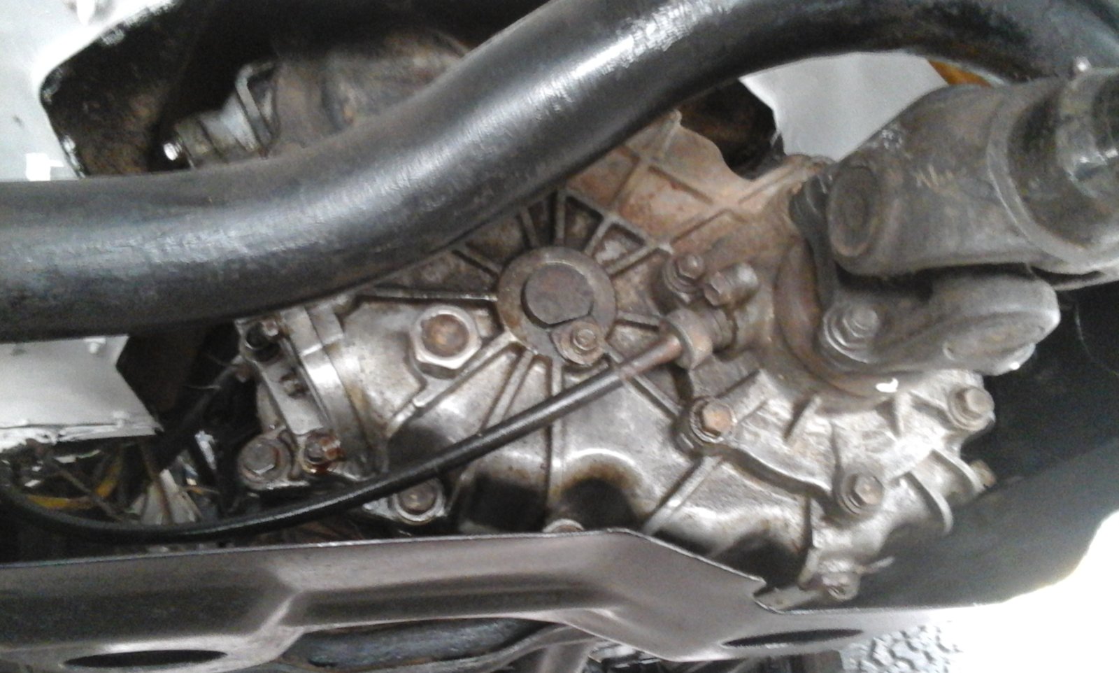 20160610_142446.jpg