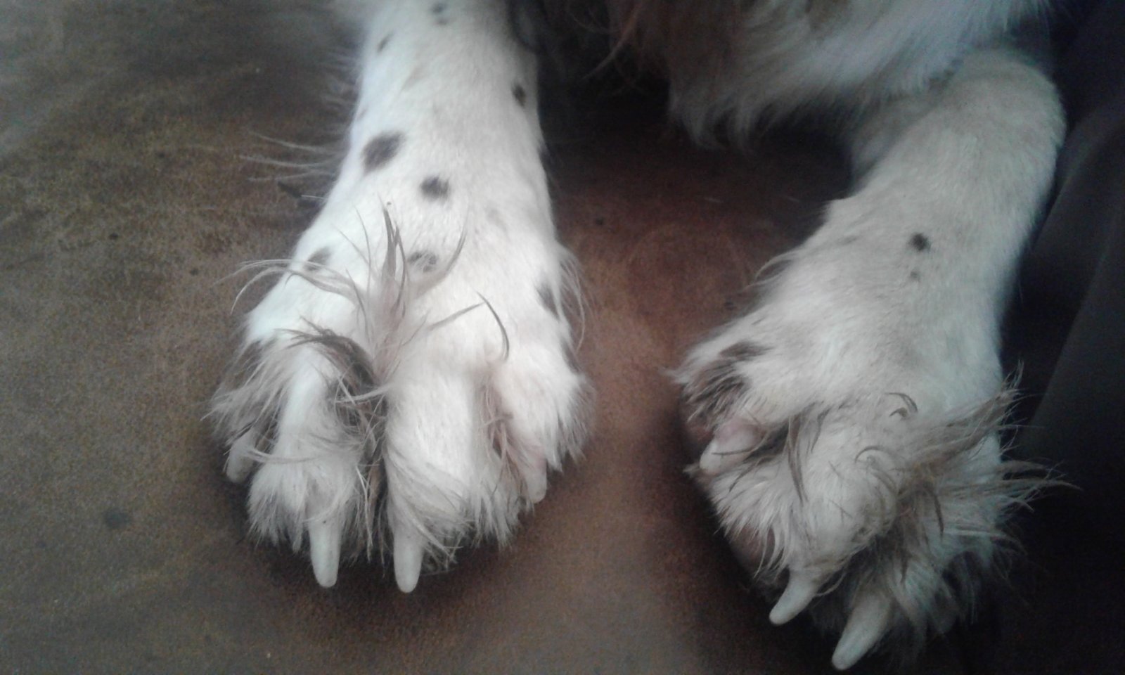 20160830_090022.jpg