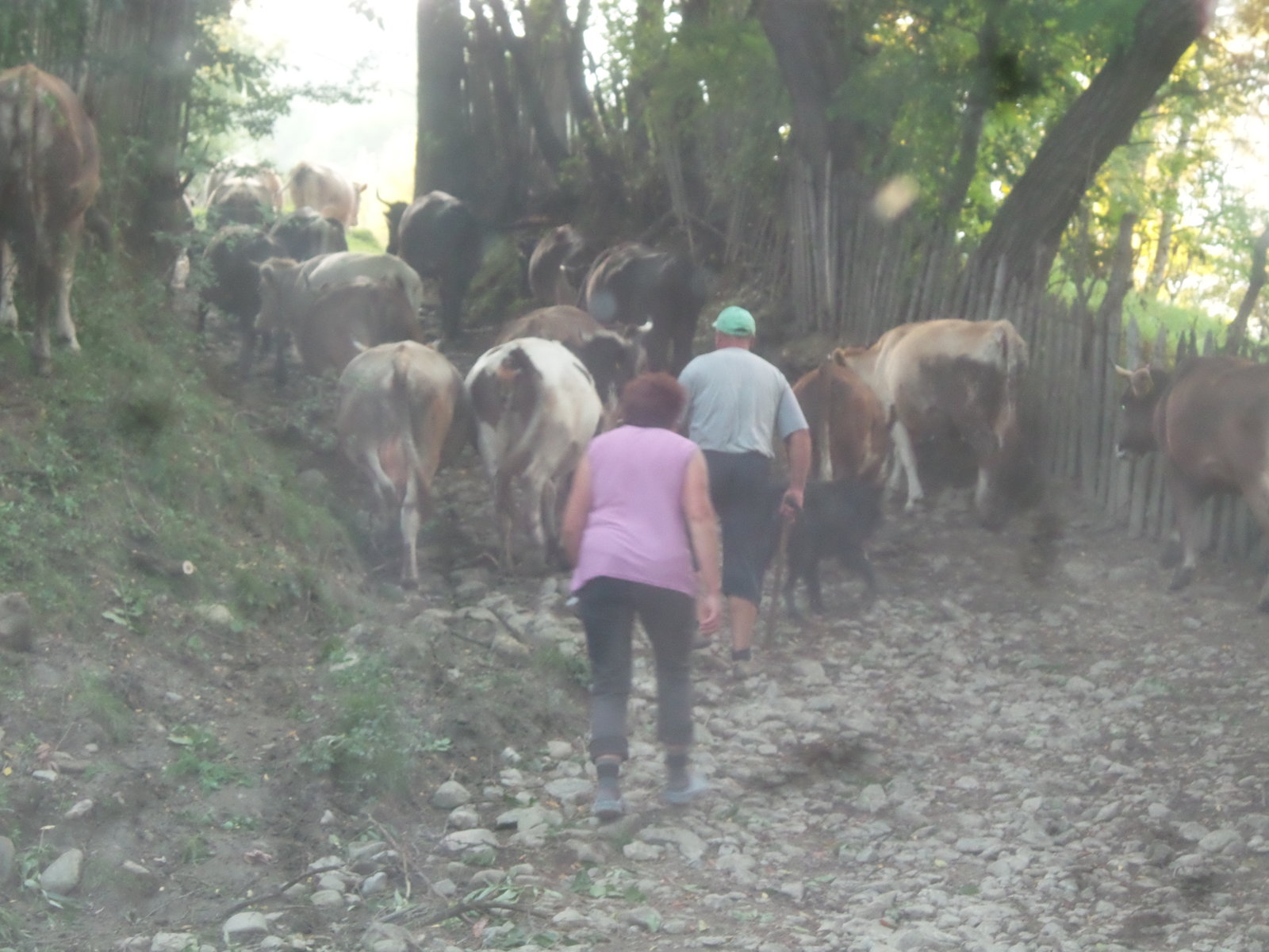 20160904_183150.jpg