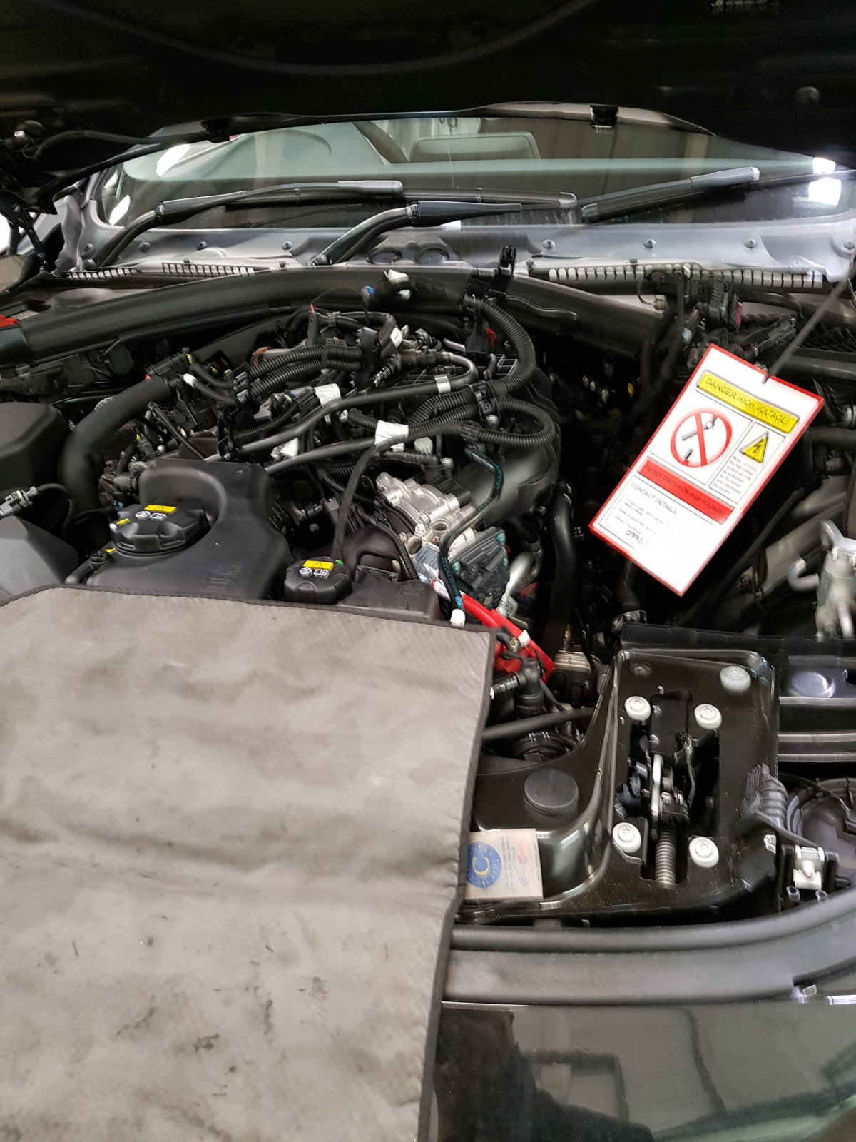 20161119_090801.jpg