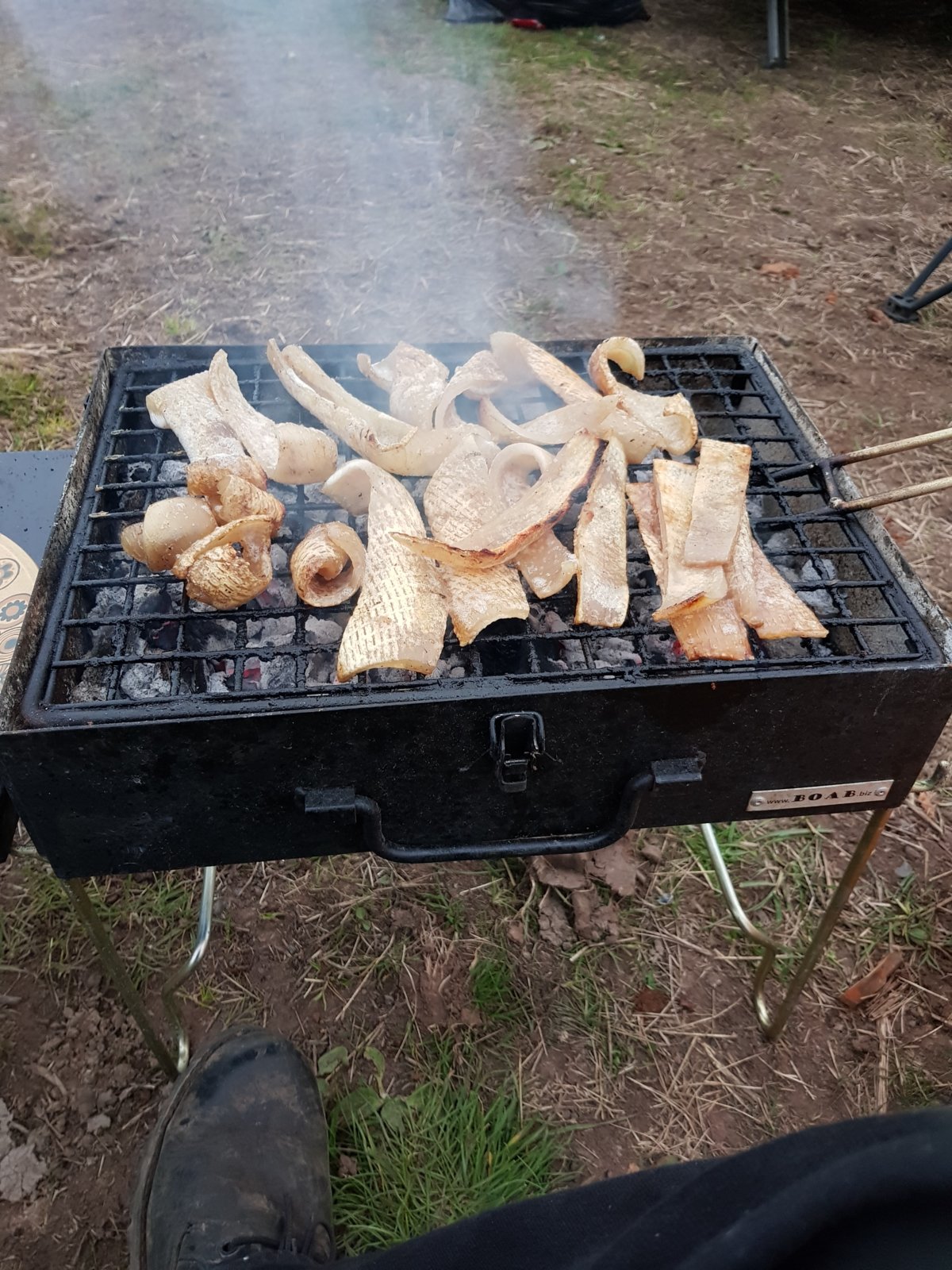 20170430_200919.jpg