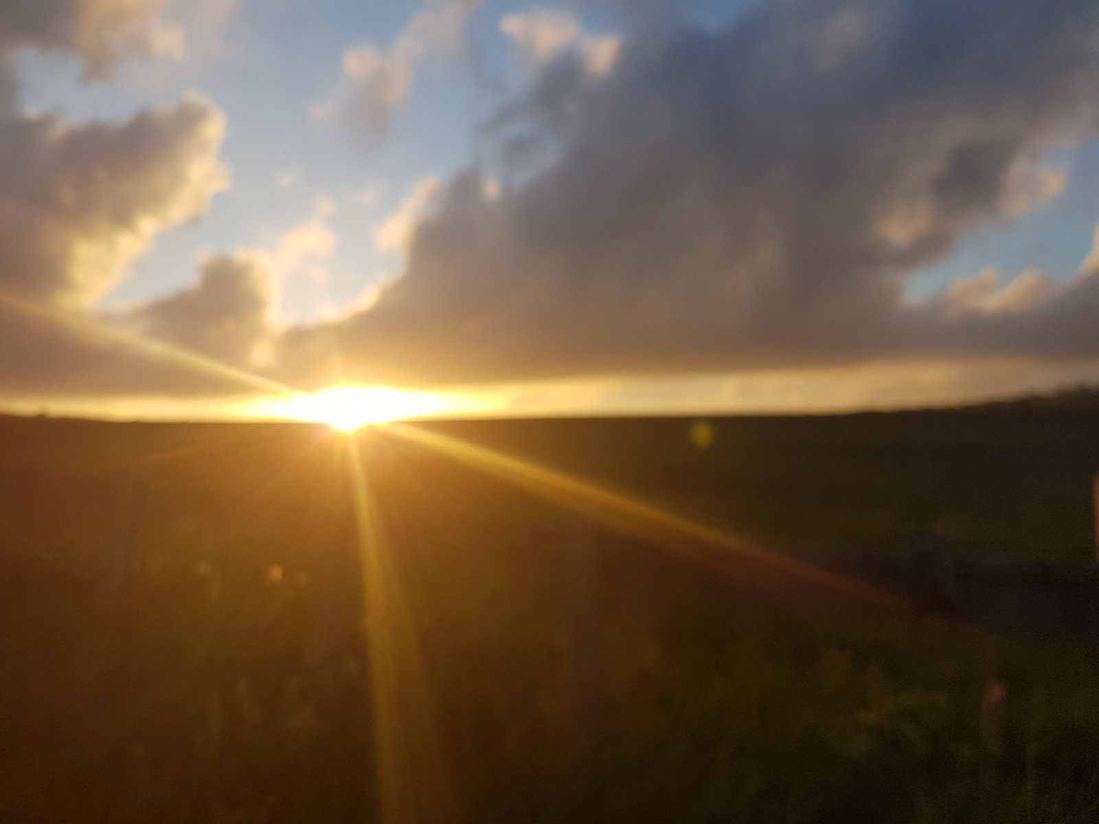 20170527_204230.jpg