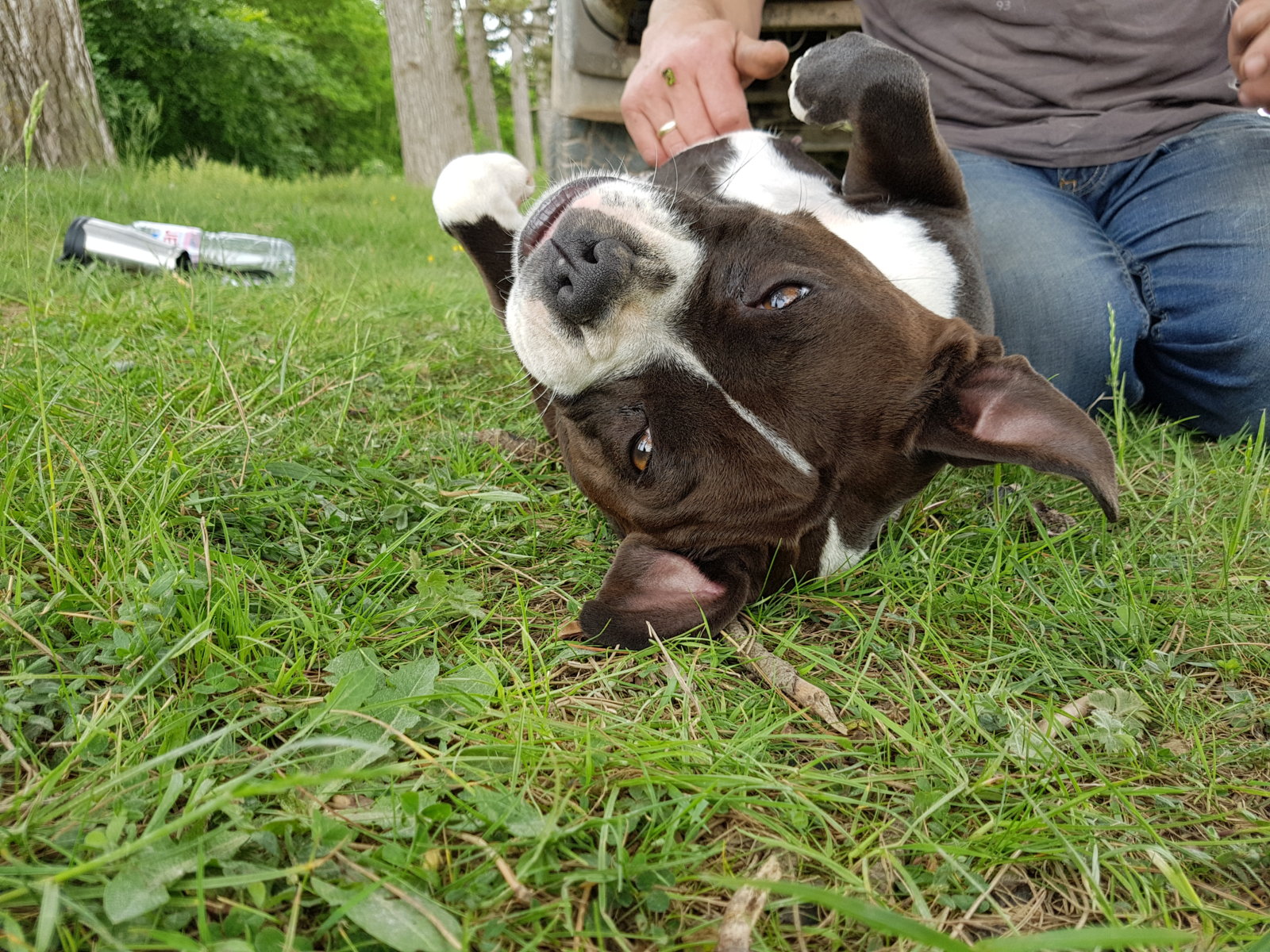 20170528_144004.jpg