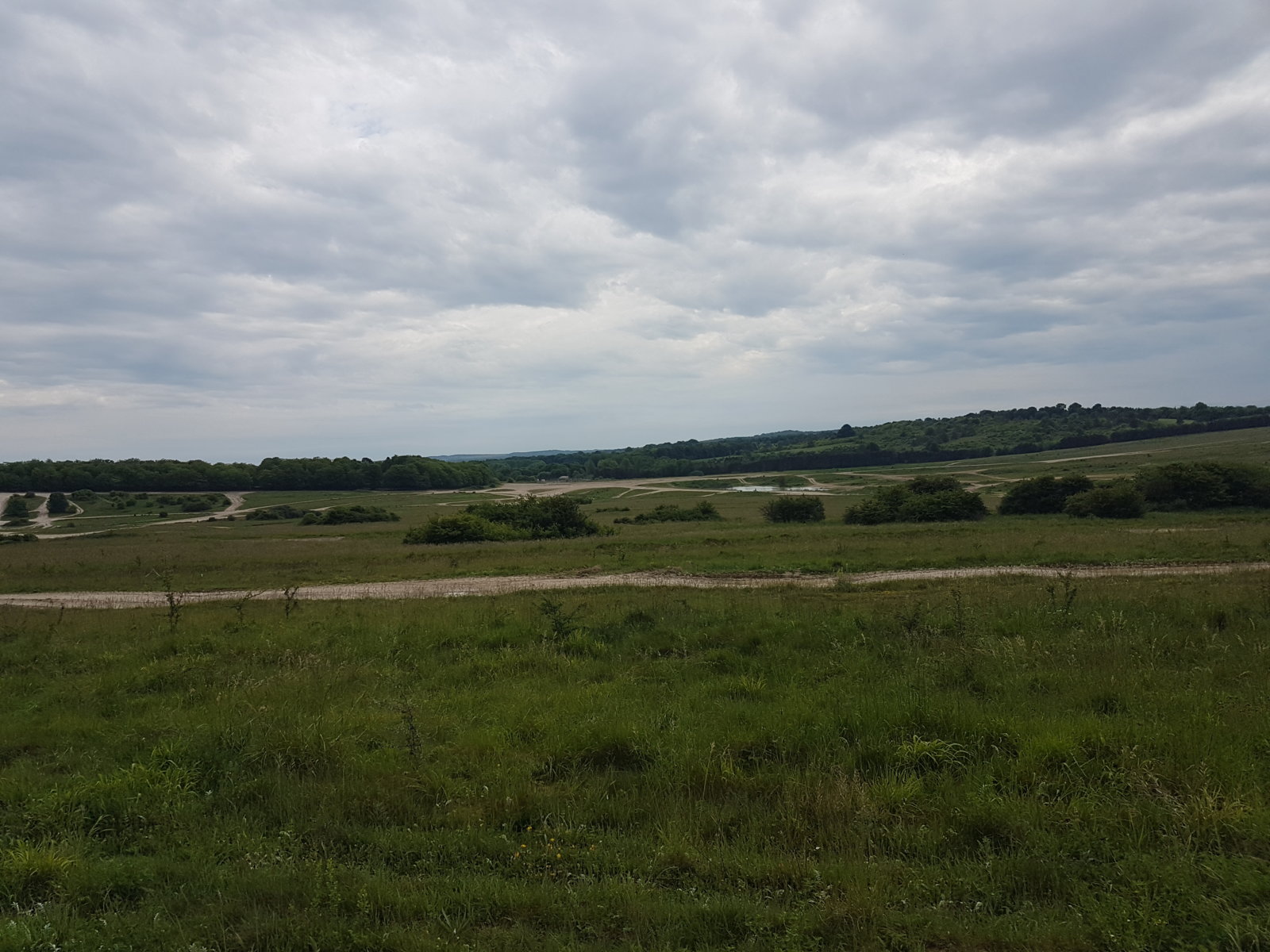 20170528_154529.jpg
