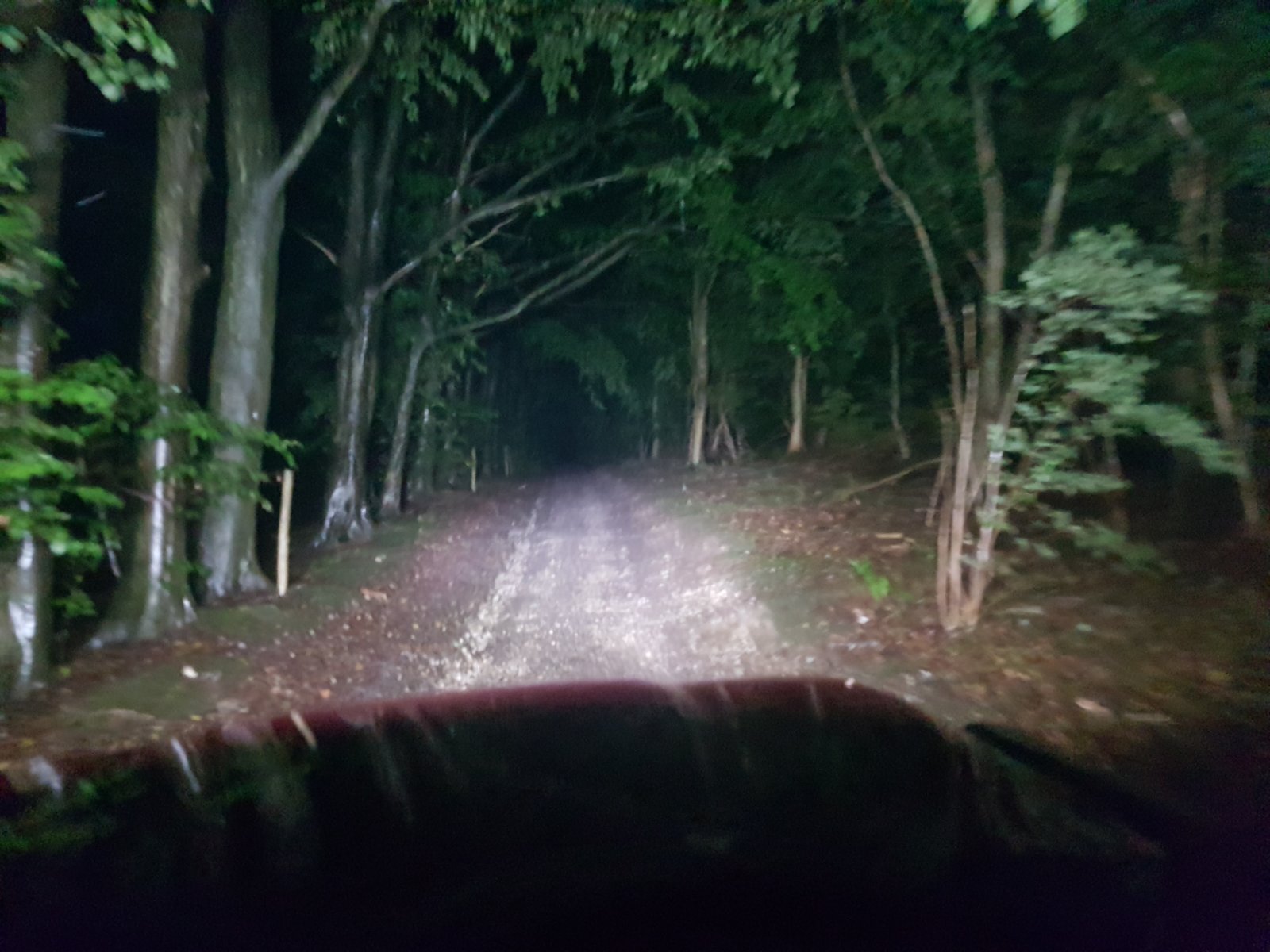 20170730_013818.jpg