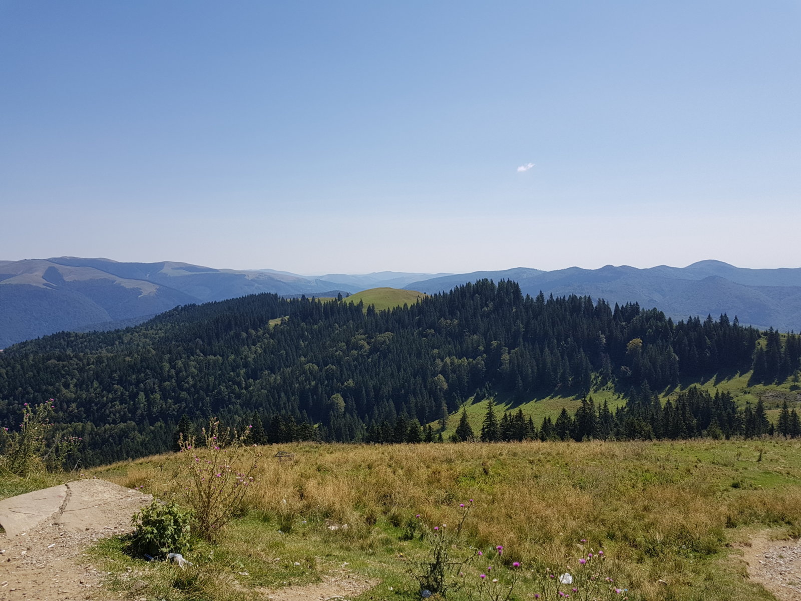 20170825_123043.jpg