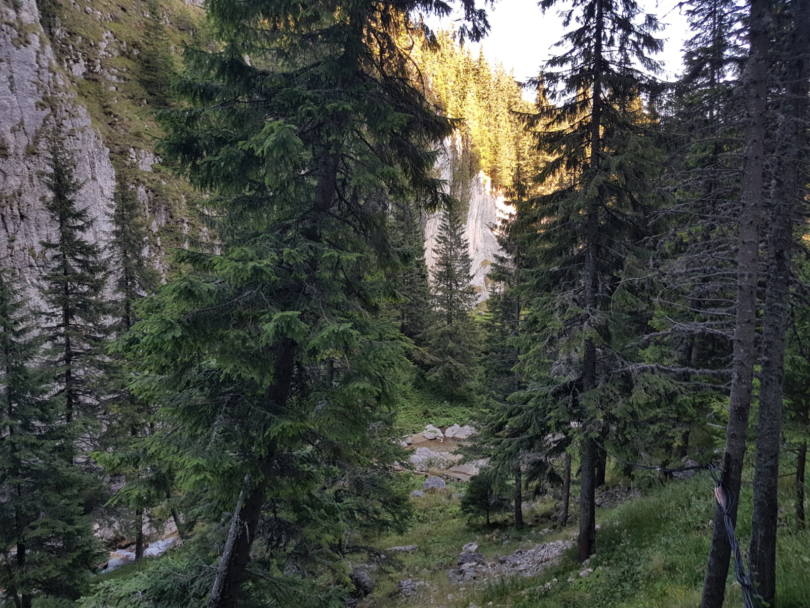 20170825_181156.jpg