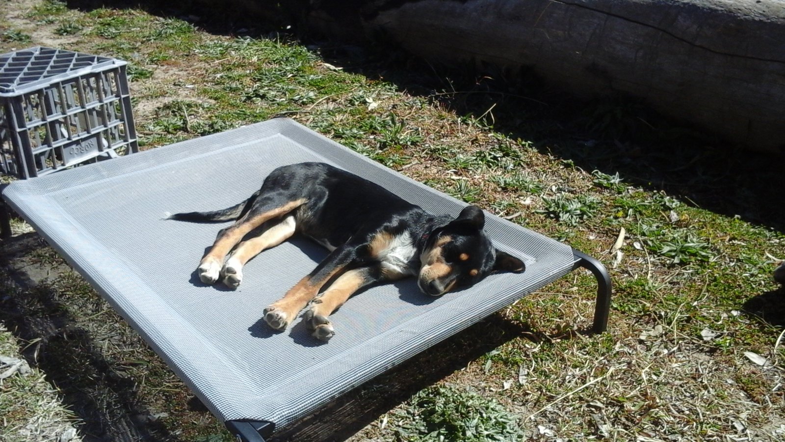 20170910_100436.jpg