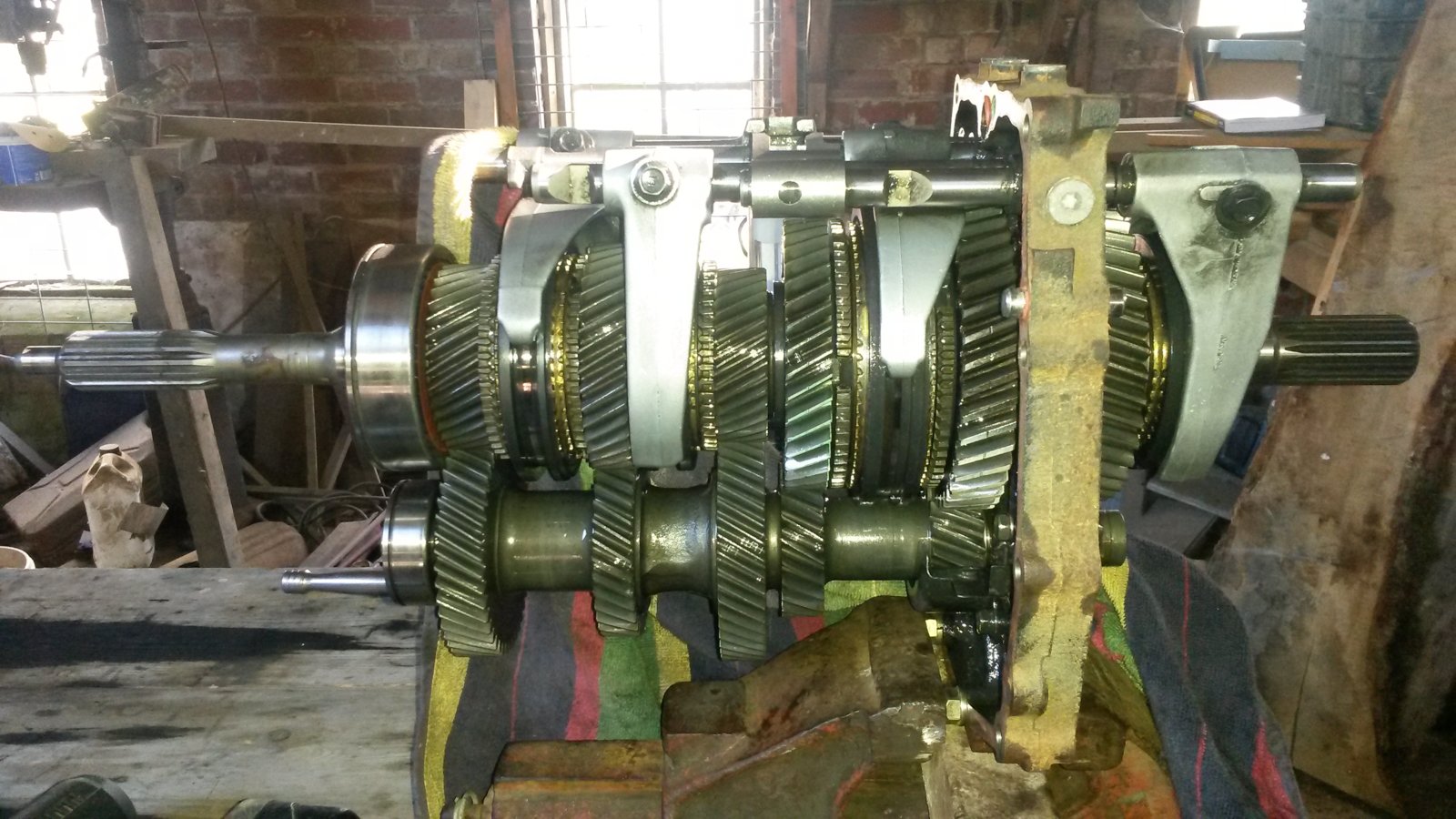 20170913_173831.jpg