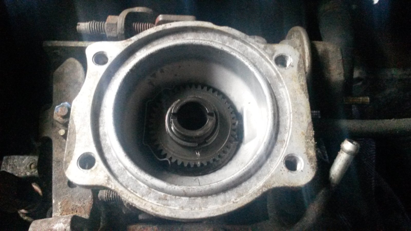 20170929_090551.jpg