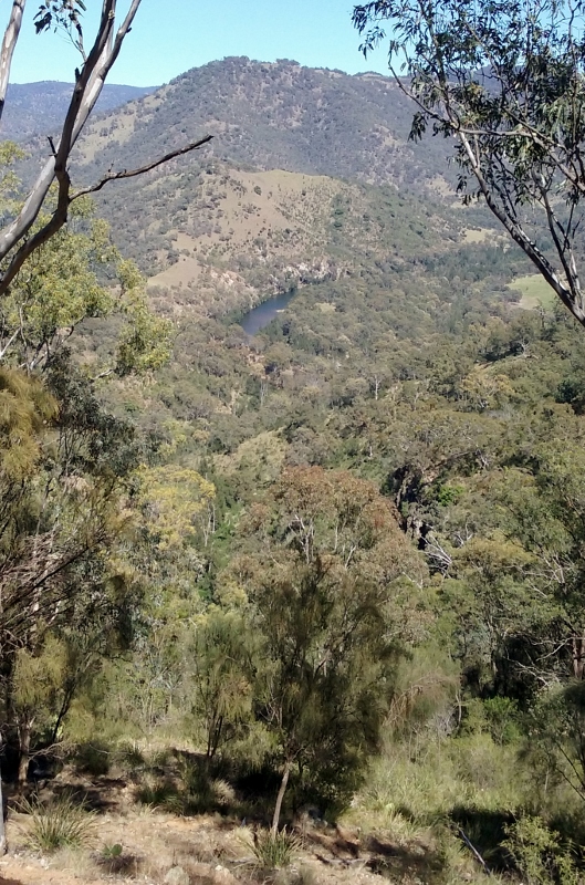 20171101_102519 (529x800).jpg