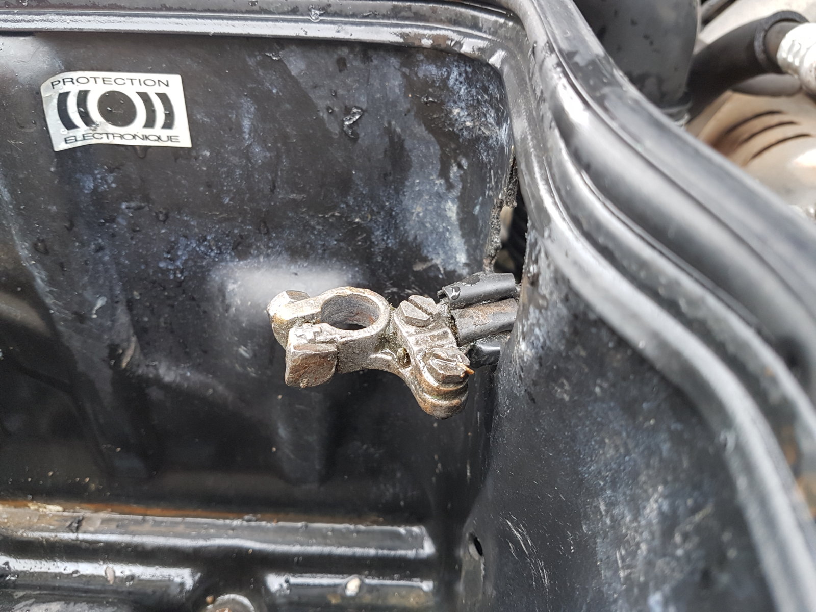 20171108_124501[1].jpg