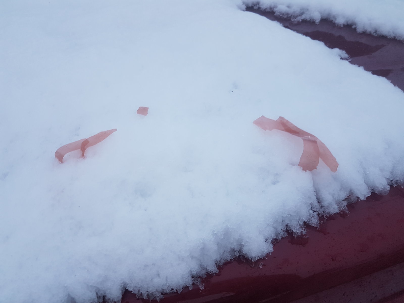 20171227_081556.jpg